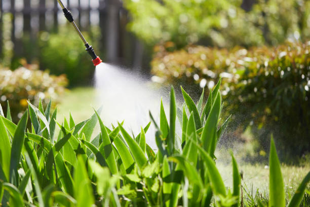 24/7 Emergency Mosquito Control experts in Saylorsburg, PA