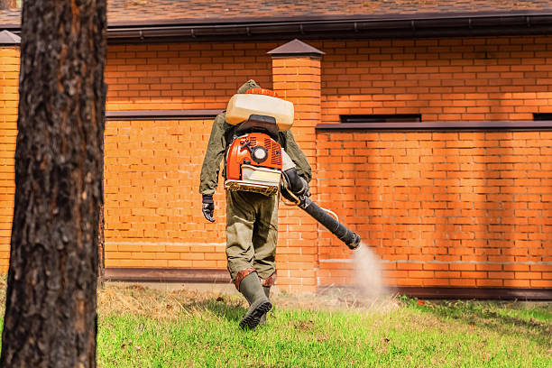 Trusted Ant Control service in Saylorsburg, PA - Nex Pest Control